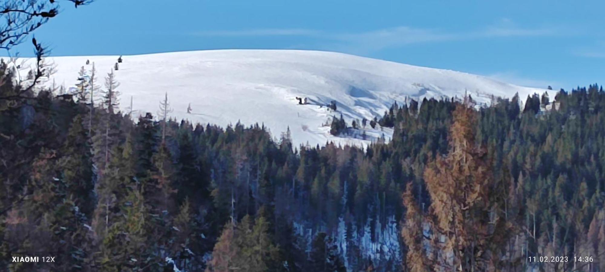 Schicke Ferien Wohnung Mit Tollem Ausblick In Schwarzwald. Villingen-Schwenningen Dış mekan fotoğraf