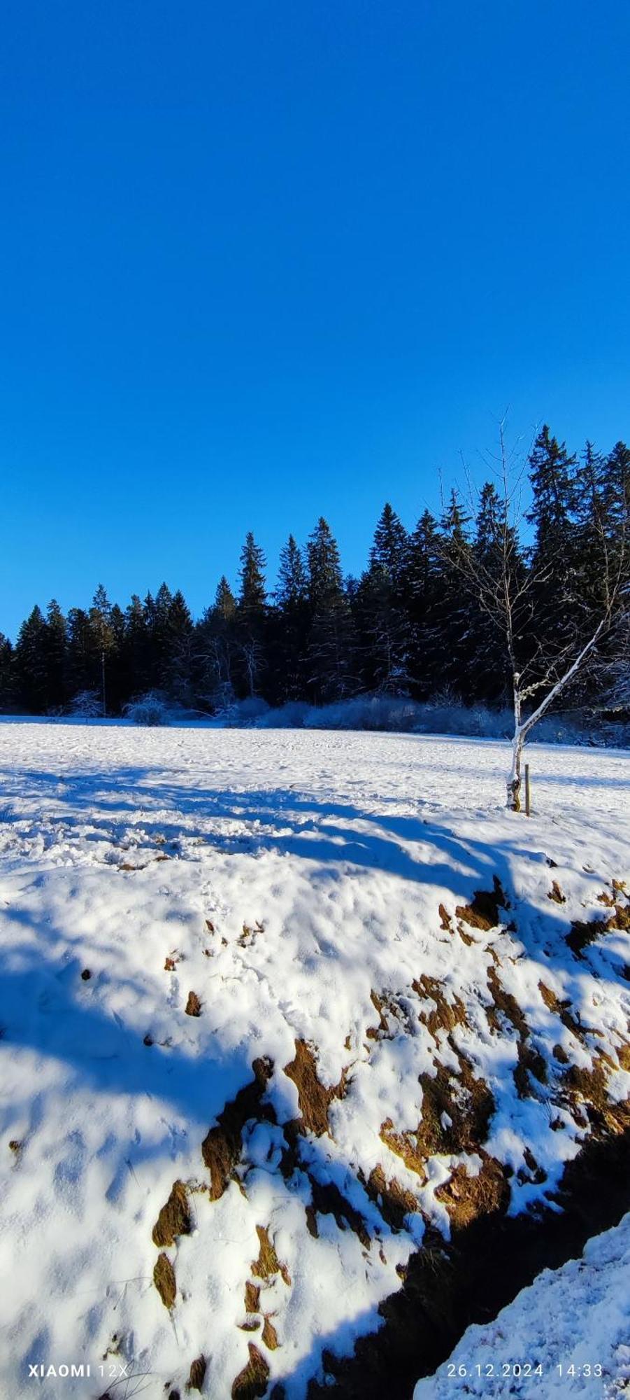 Schicke Ferien Wohnung Mit Tollem Ausblick In Schwarzwald. Villingen-Schwenningen Dış mekan fotoğraf