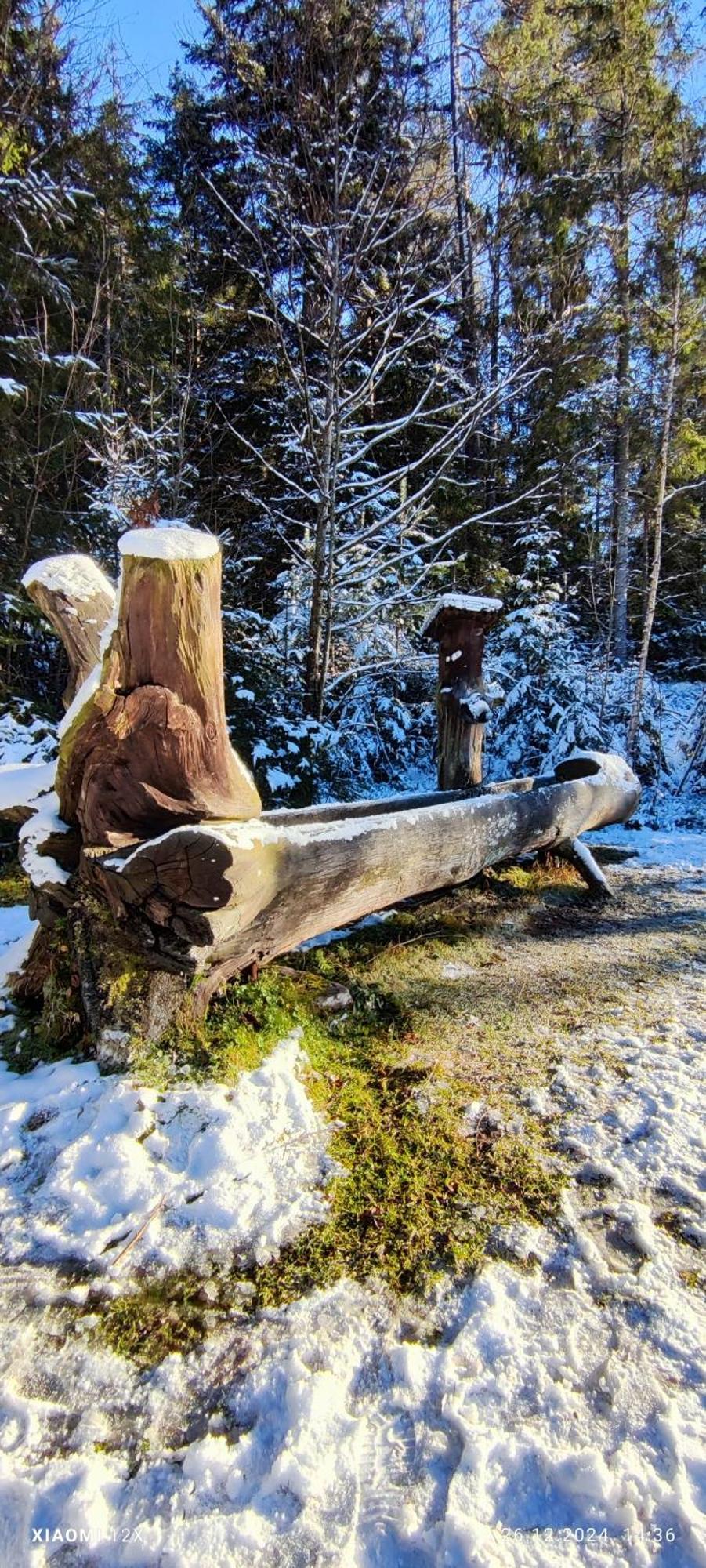 Schicke Ferien Wohnung Mit Tollem Ausblick In Schwarzwald. Villingen-Schwenningen Dış mekan fotoğraf